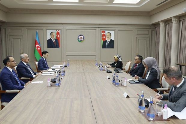 Əli Əsədov İndoneziyanın inzibati və bürokratik islahatlar naziri ilə görüşüb